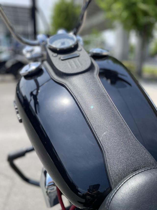 FXDB