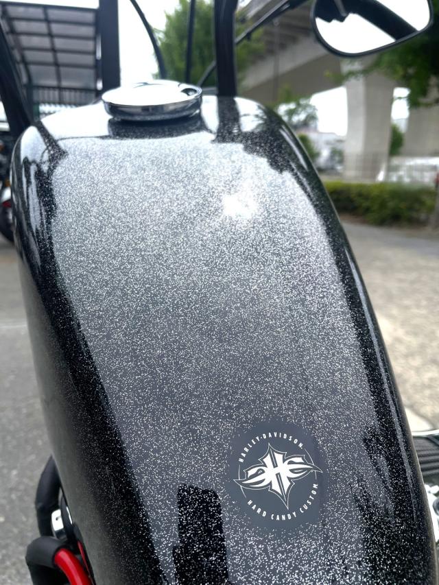 XL1200X