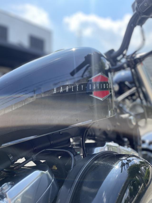 XL1200X