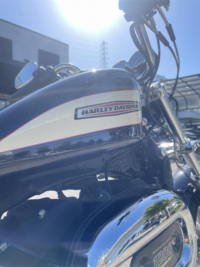 XL1200R