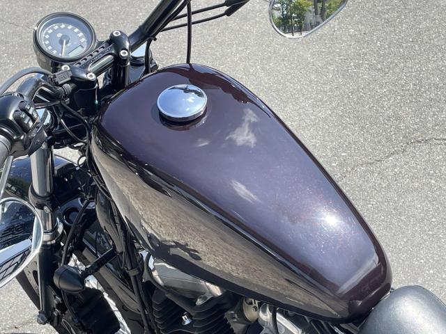 XL1200X